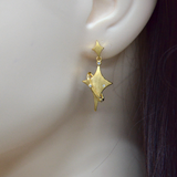 925 Italian Silver Earring Star Miscanthus sinensis universe wire-inlaid ear studs