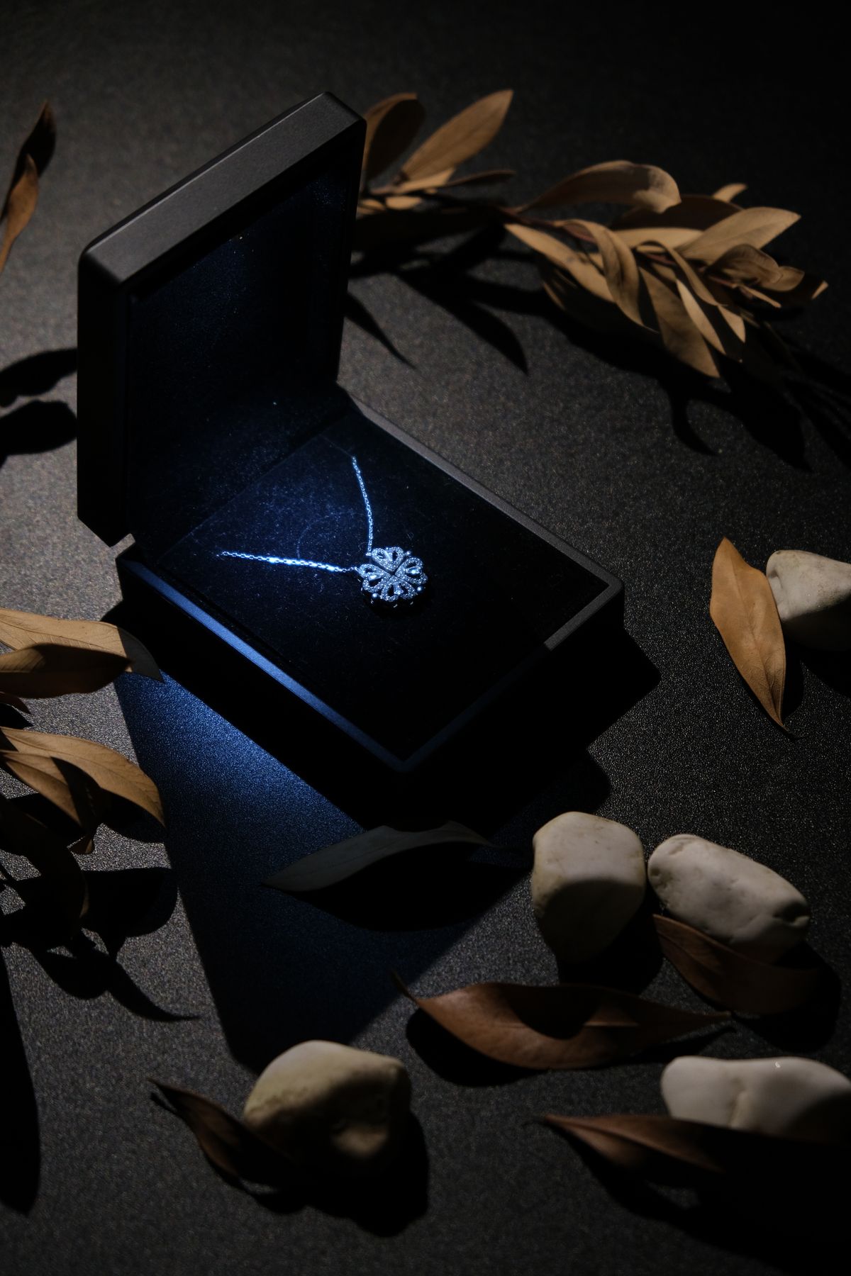 Silver necklace presented in an elegant gift box