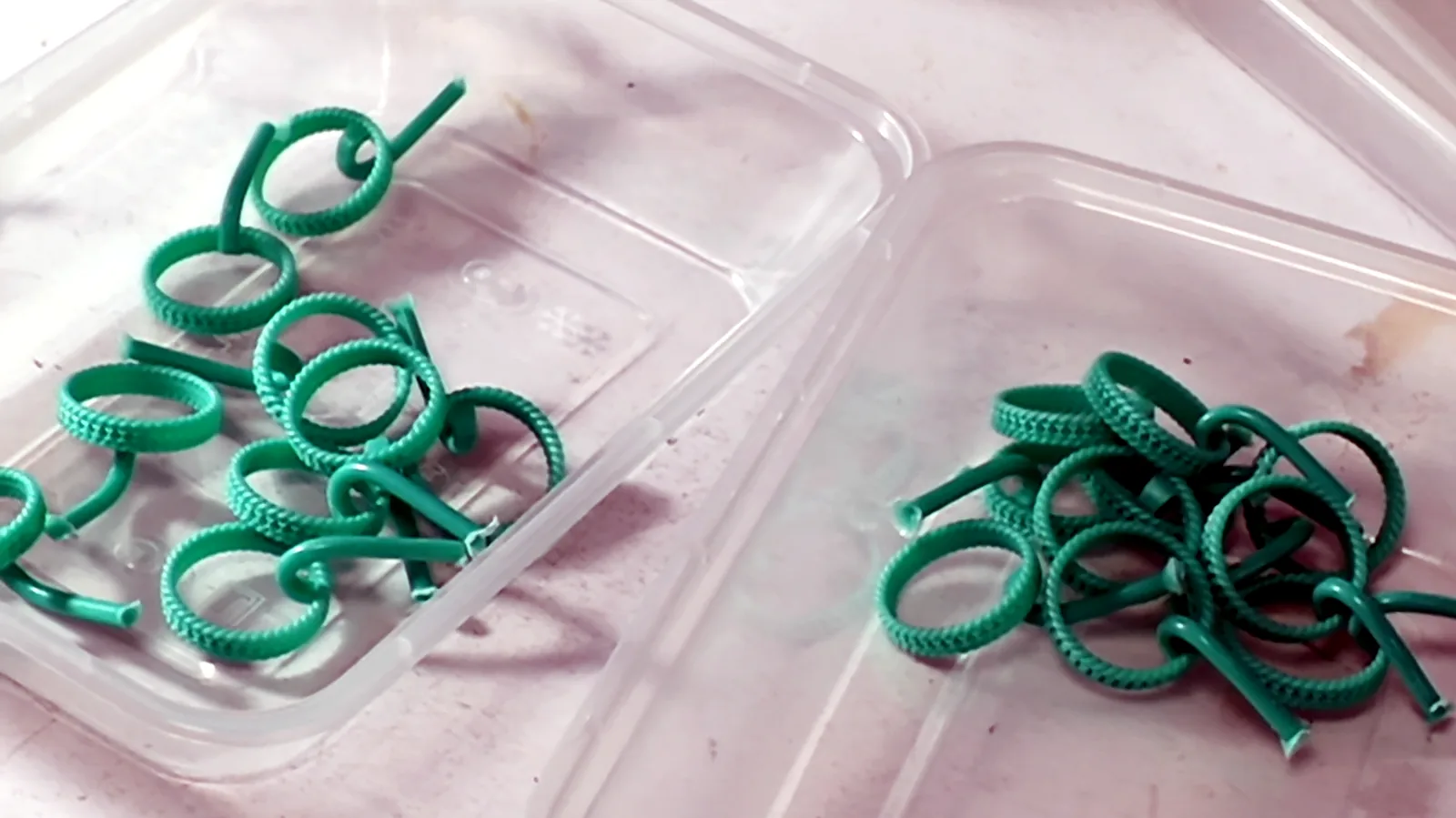 Green wax ring patterns in trays before investment casting